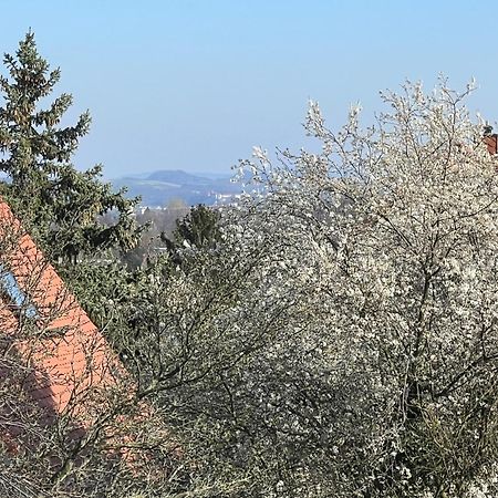 Ferienwohnung Dresden Exteriör bild